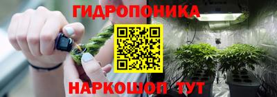 гидропоника Заволжье