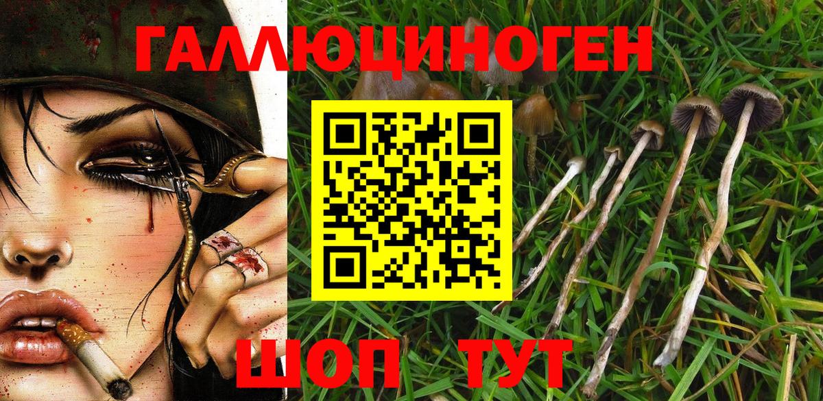 Псилоцибиновые грибы Psilocybe  Вход с VPN  что такое   Мичуринск  Галлюциногенные грибы Cubensis 