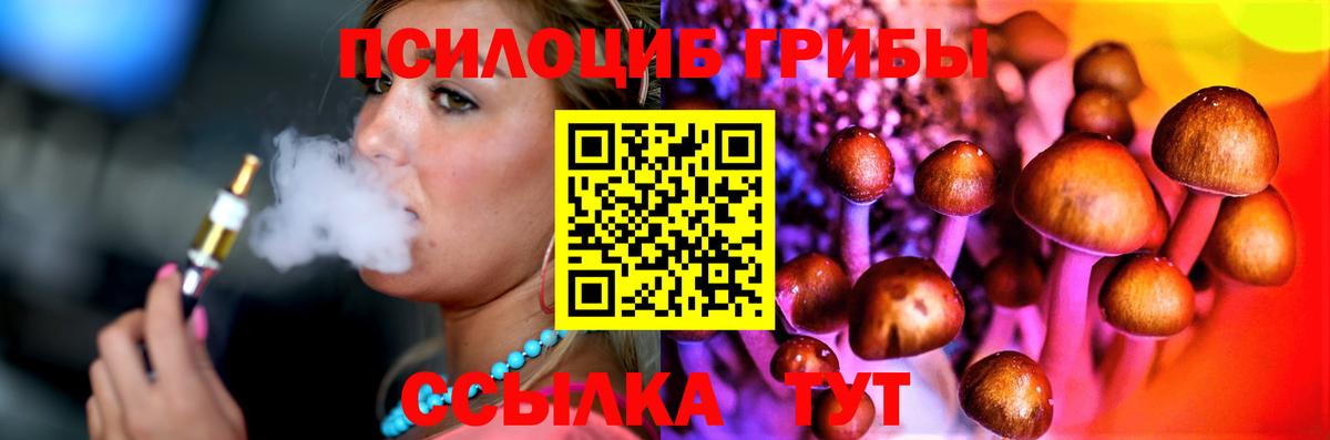 Галлюциногенные грибы MAGIC MUSHROOMS Мичуринск